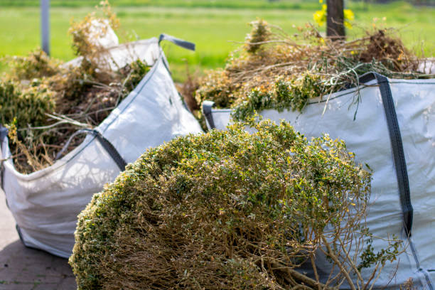 Best Hoarding Cleanup  in Darrington, WA